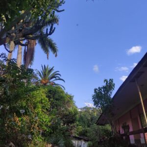 Camino Pre Hispano el Triunfo